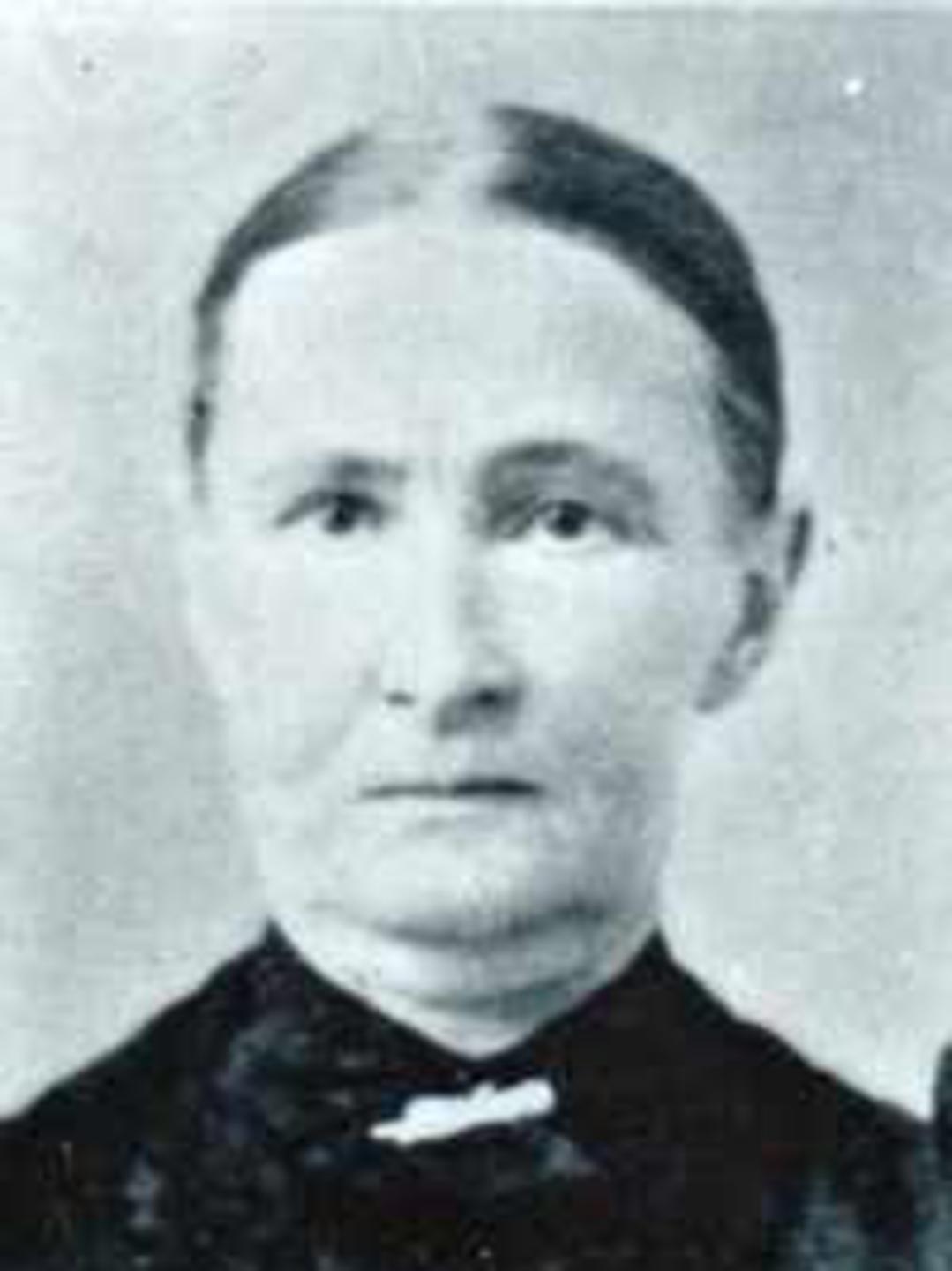 Elzina Lucinda Lott (1834 - 1910) Profile